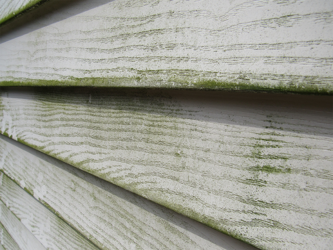 Remove Algae From Vinyl Siding With This Handy Guide Washh