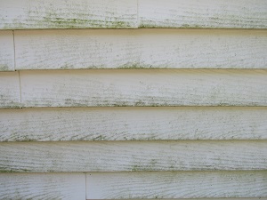 The dirty side of a house with mold and mildew | remove green algae from vinyl siding