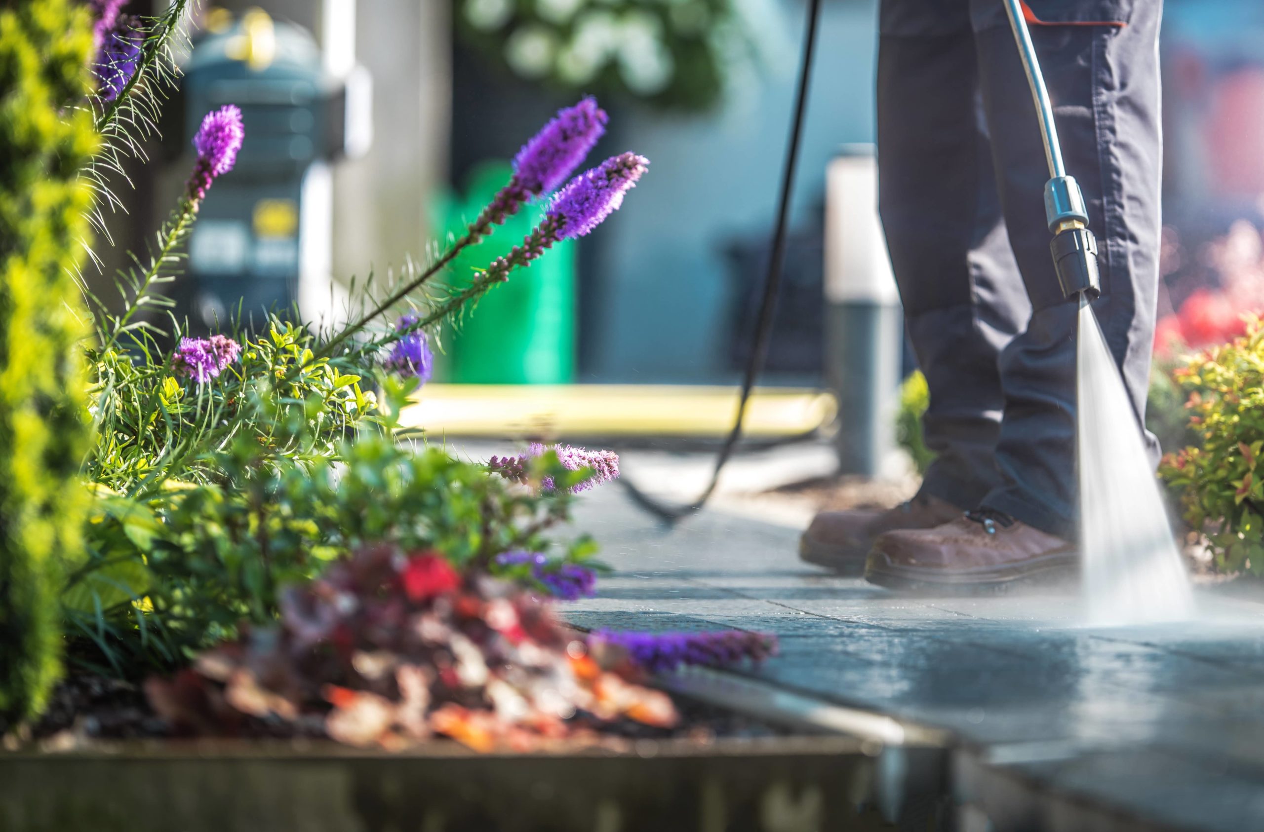 flowers with man pressure washing concrete surface | house cleaning services