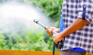 Commercial Pressure Washing | chewing gum removal services